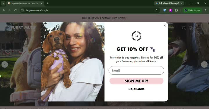 Digital commerce project view