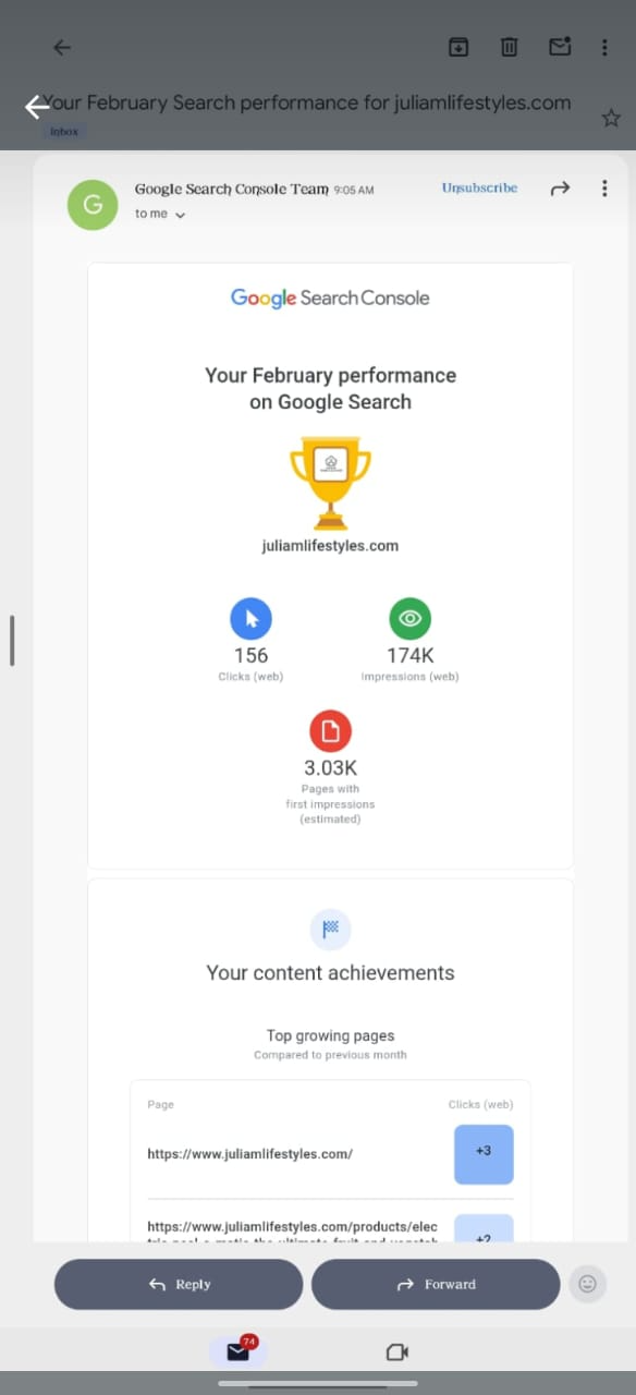 Google Search Console monthly performance summary for juliamlifestyles.com: 156 clicks and 174K impressions reported by Google.